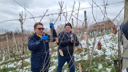 Vincekovo brez meja 22